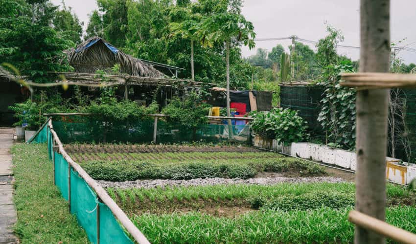 5Ku Farm