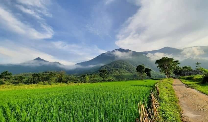 Hoàng Nông Farm