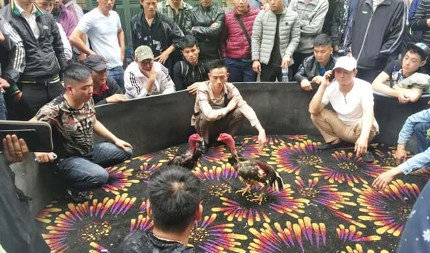 Hội làng Ngũ Xã