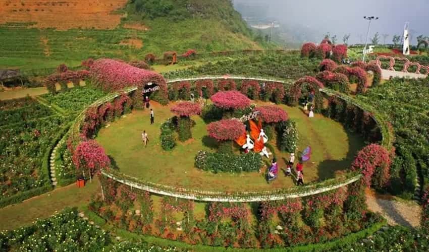 Lễ hội hoa hồng Sapa 2026