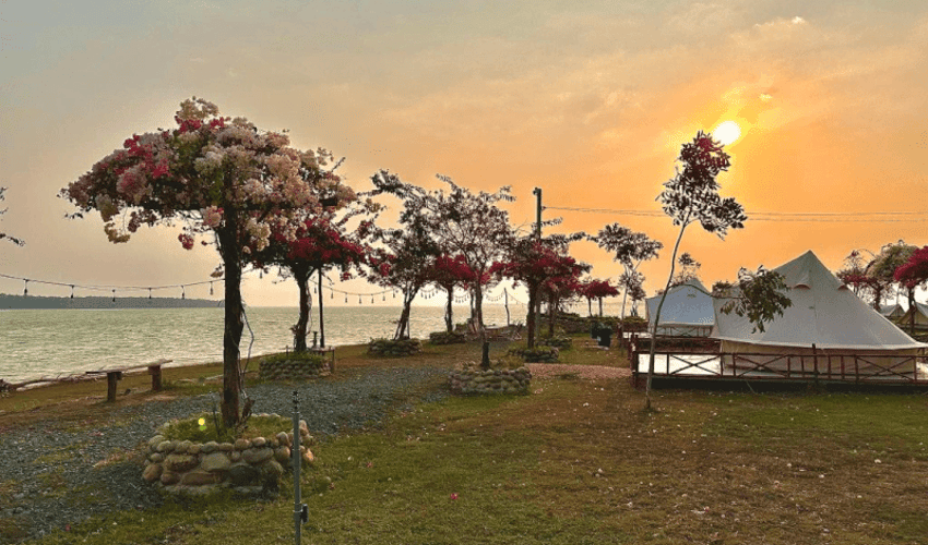 Bằng Lăng Glamping