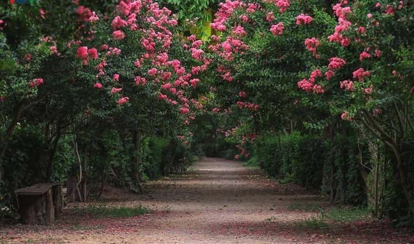 Vietnam Ornamental Botanical Park