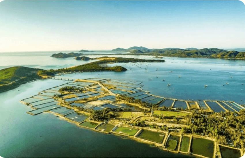 o Loan Lagoon