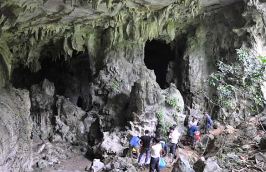 Động Dơi