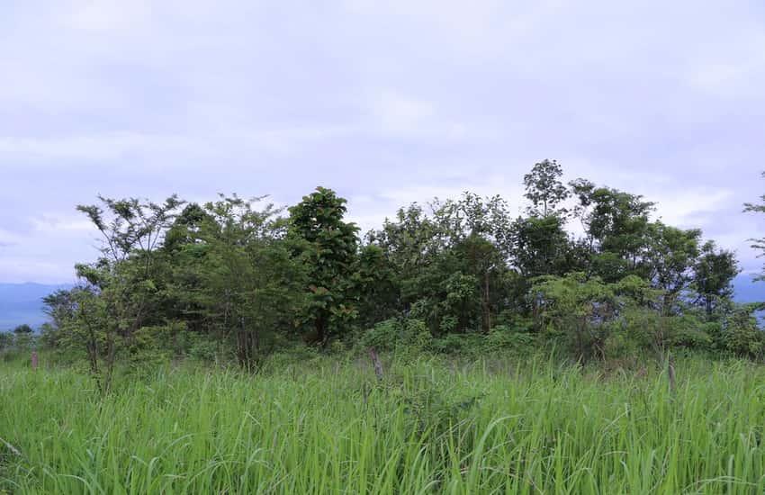 105mm artillery position of the 805th Company