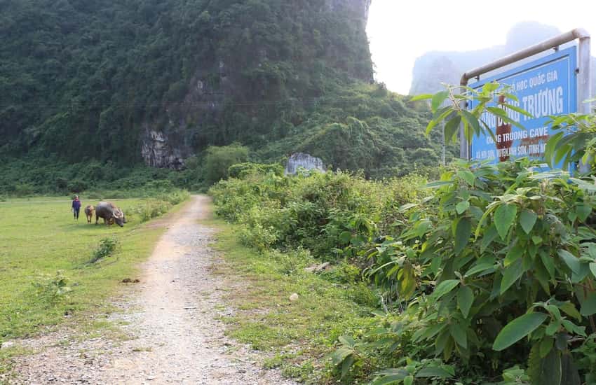 Dong Truong 洞考古遗址