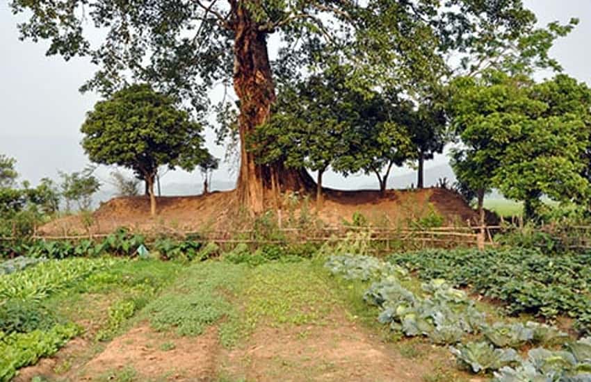 Thành Sam Mứn