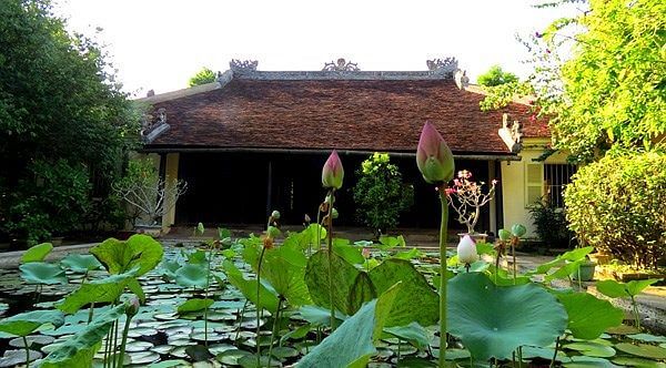 Một hồ sen trước nhà