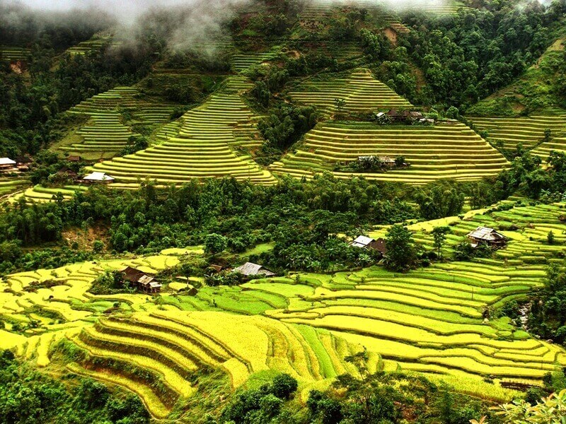 Hà Giang: Tuần Văn hóa du lịch “Qua miền di sản ruộng bậc thang Hoàng Su Phì” năm 2024