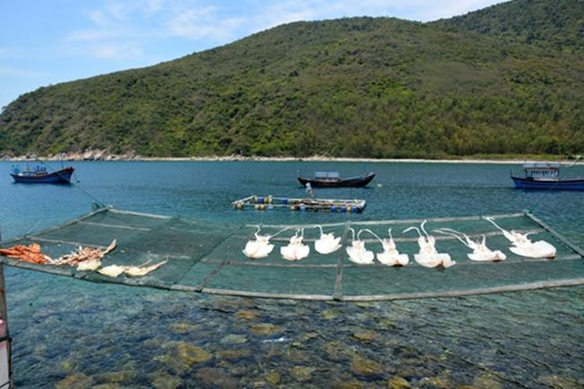 Làng chài Bích Đầm