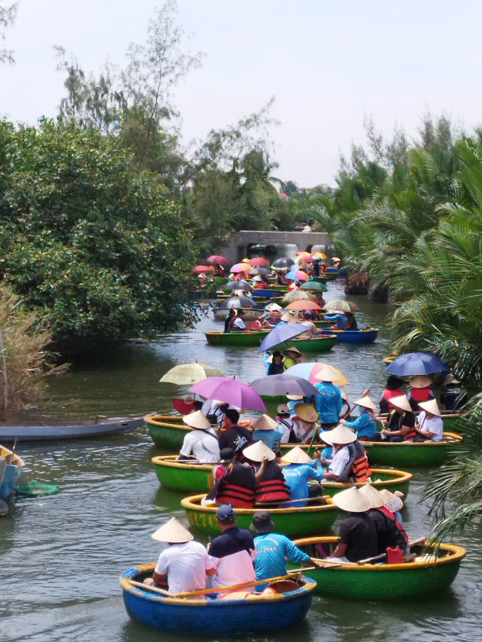 TRẢI NGHIỆM CHỢ ĐỊA PHƯƠNG VÀ LỚP HỌC NẤU ĂN TẠI HỘI AN
