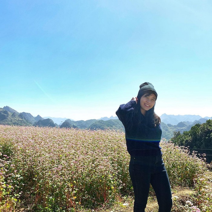 Tam giác mạch Lũng Táo .