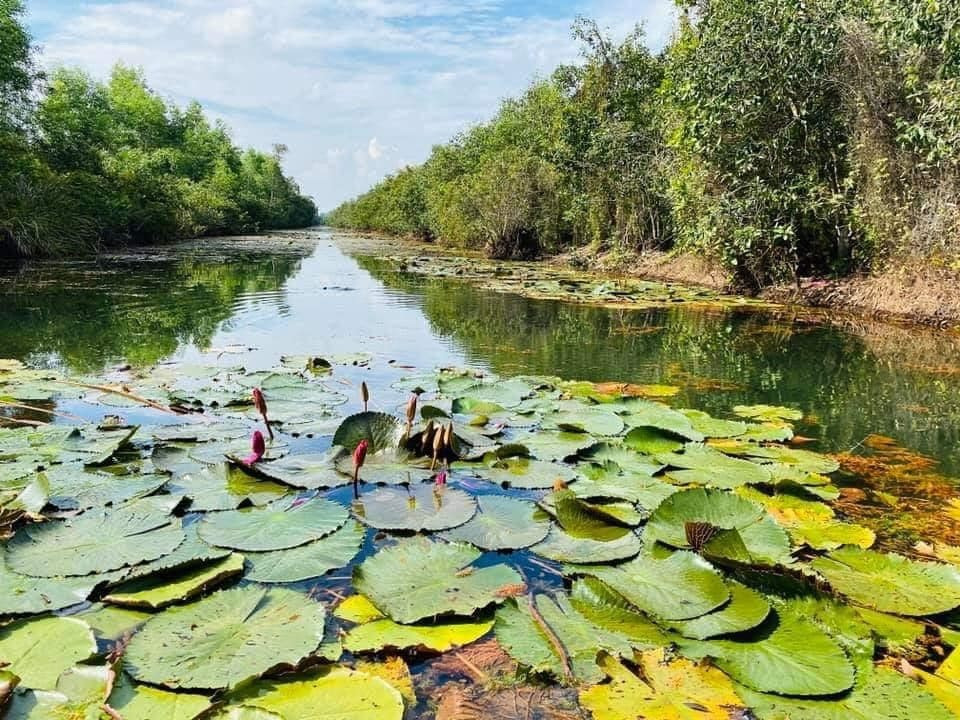 Khu bảo tồn sinh thái Đồng Tháp Mười