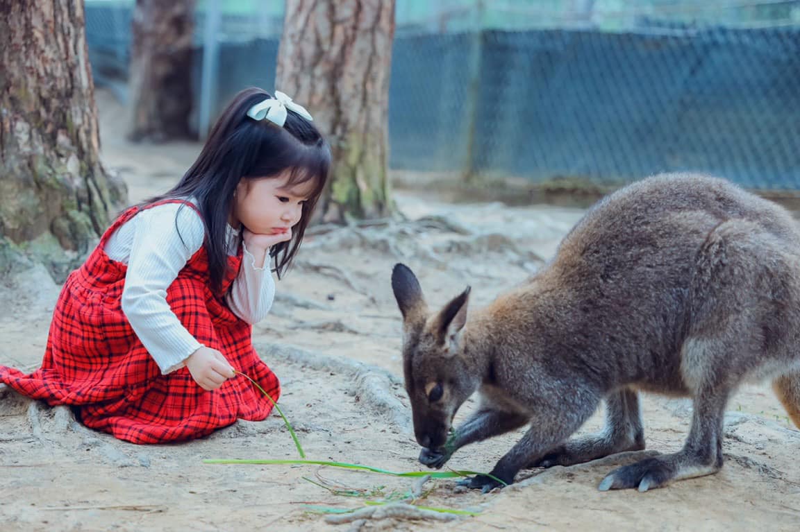Vườn thú ZooDoo