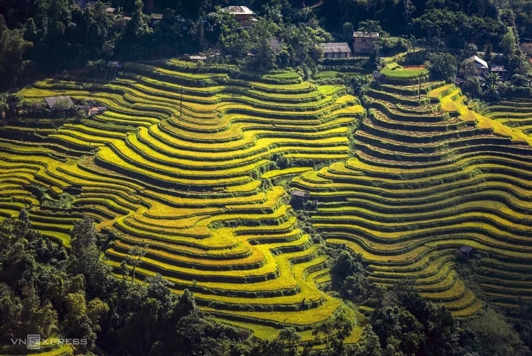 Hoàng Su Phì