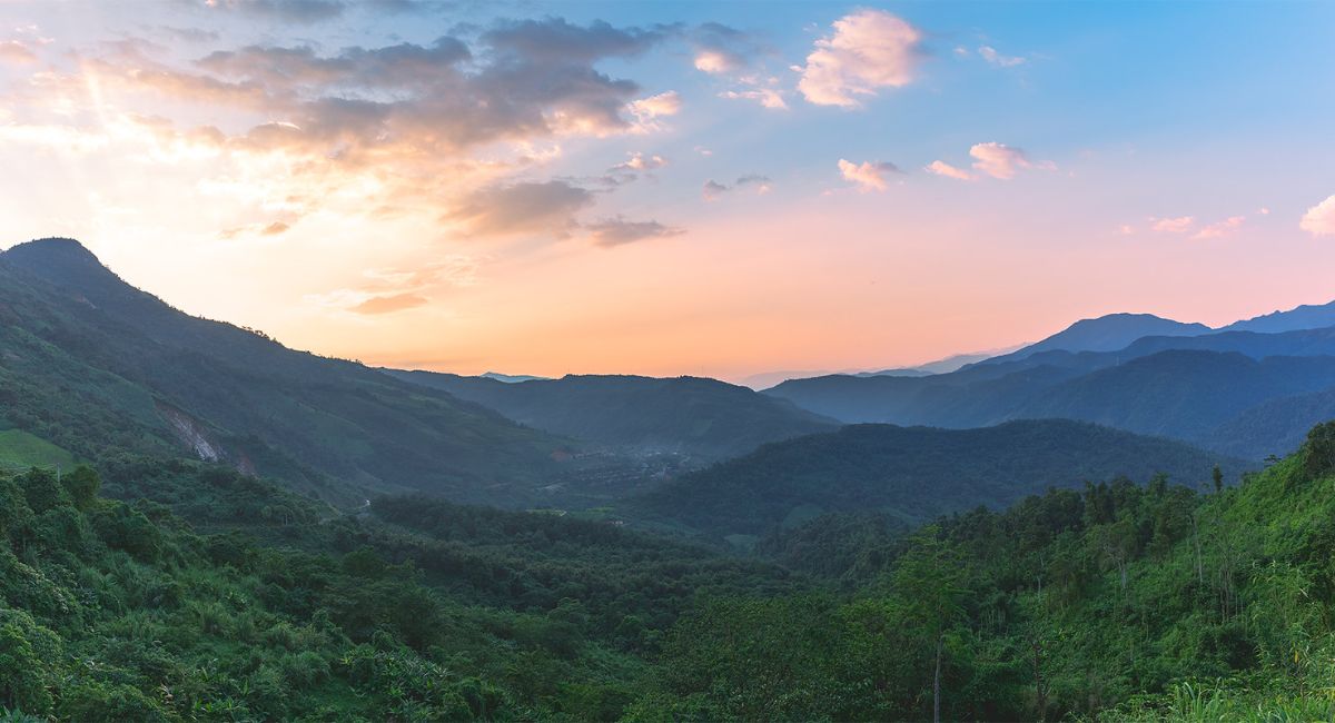 Khu bảo tồn thiên nhiên Mường Tè cần được bảo vệ và gìn giữ.