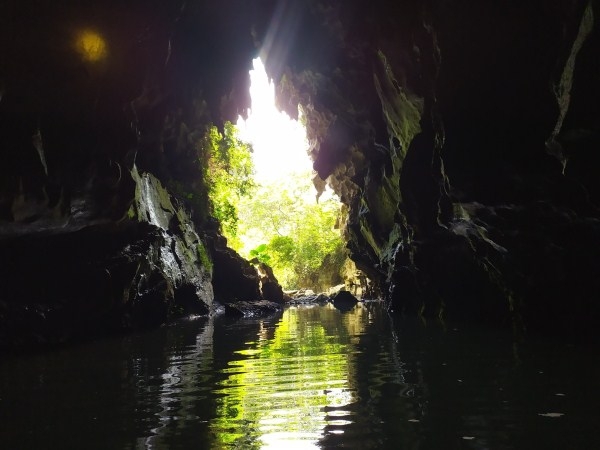 Khung cảnh núi rừng nhìn từ bên trong hang.