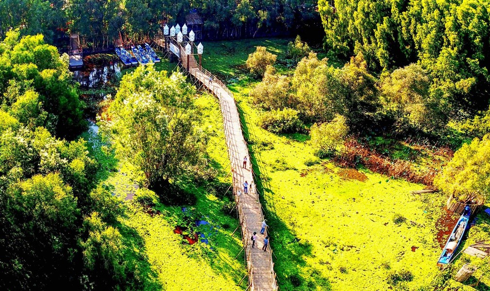 Check-in cây cầu tre dài 10km tại Việt Nam