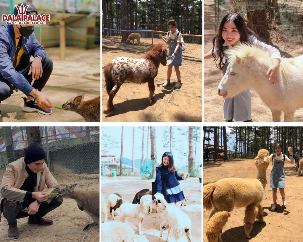 Vườn thú ZooDoo