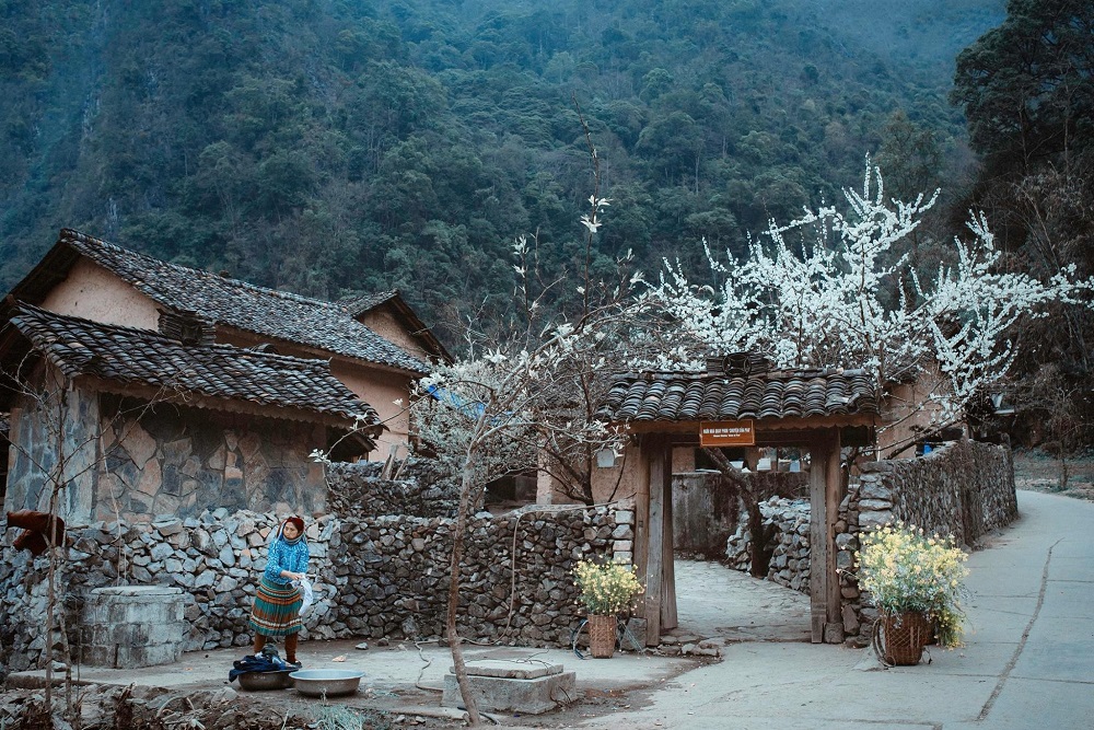 Nhà của Pao.