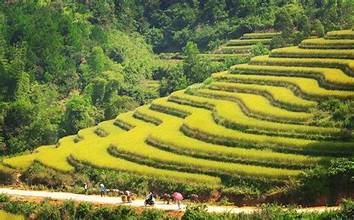 Ruộng bậc thang: Nguyên liệu "vàng" cho phát triển du lịch