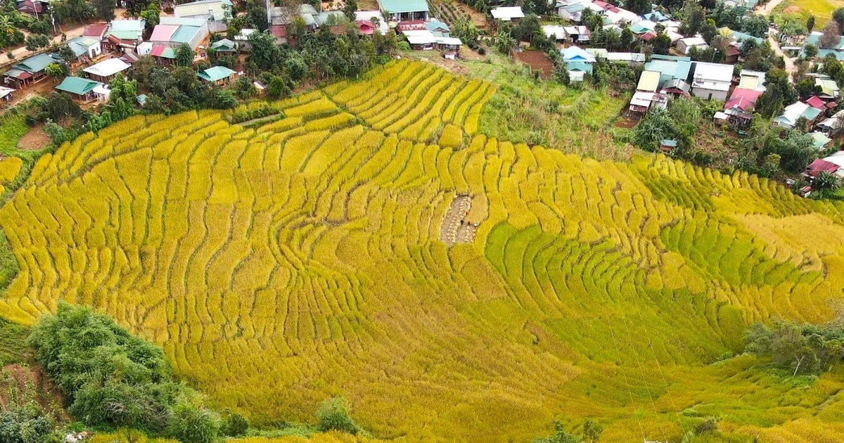 Không hùng vỹ, hoành tráng như ruộng bậc thang ở Tây Bắc, ruộng bậc thang Măng Ri lại mang dáng vẻ cuốn hút rất riêng của mảnh đất cao nguyên