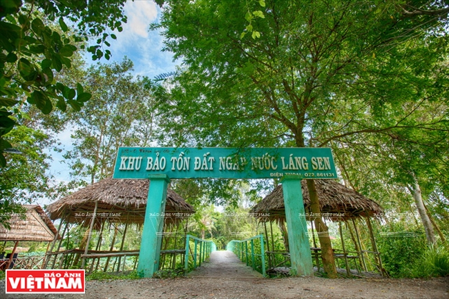 Khu bảo tồn đất ngập nước Láng Sen