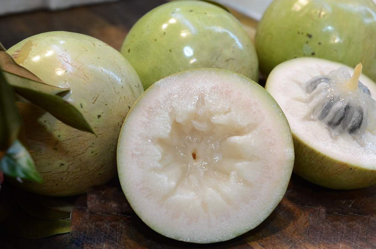 "Vu Sua Lo Ren Vinh Kim": The Sweet Jewel of Tien Giang's Orchards