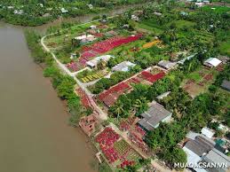 Miệt vườn Cái Mơn, chợ Lách