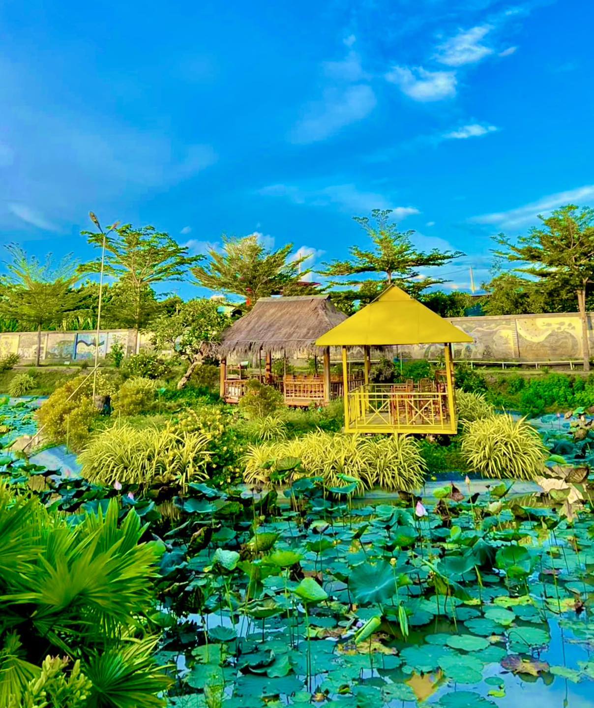 Nếu bạn muốn trở về với cuộc sống đơn giản và yên bình của nông thôn, Khu Du Lịch Sinh Thái Cội Nguồn là điểm đến lý tưởng.