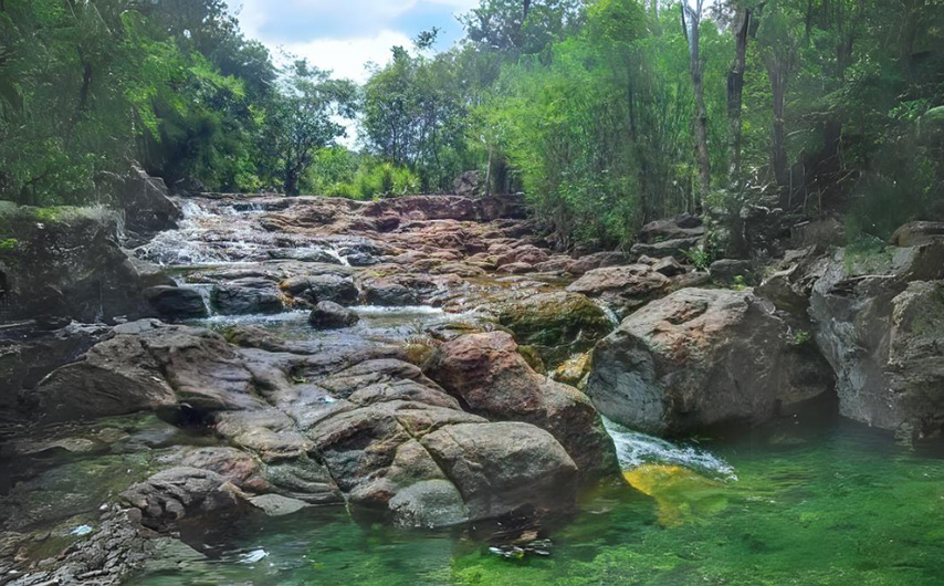 Suối Trúc