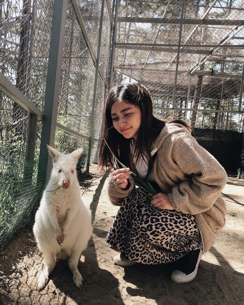 Vườn thú ZooDoo