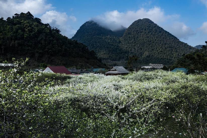 Cảnh đẹp tựa tranh vẽ