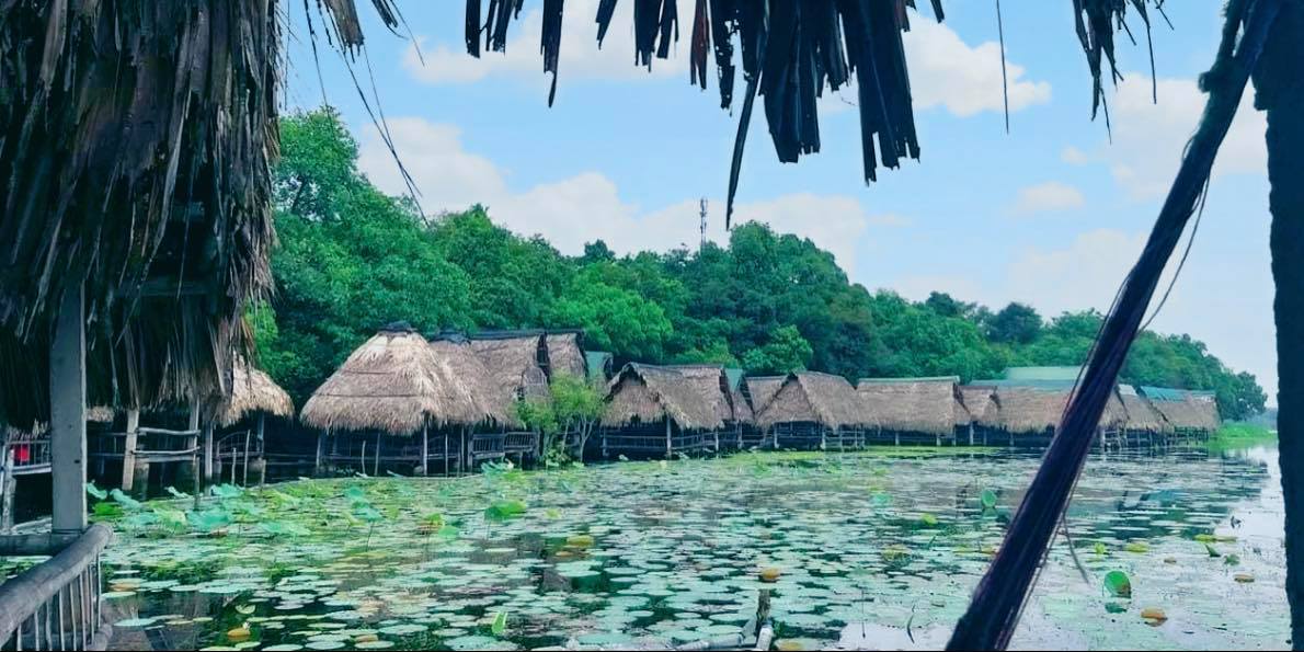 Trằm Trà Lộc