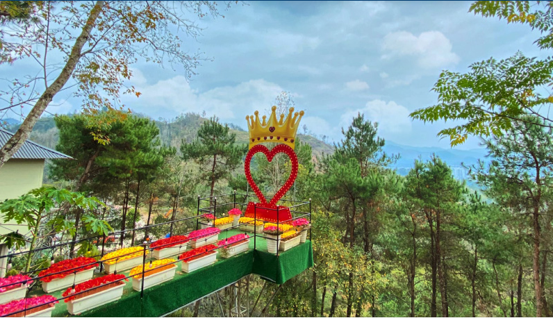 Thien Son Thinh An Gia pine hill