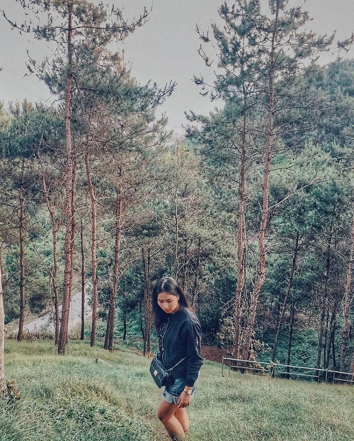 Thien Son Thinh An Gia pine hill