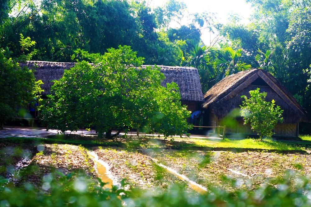 Điểm đến hấp dẫn khi ghé thăm làng Sen