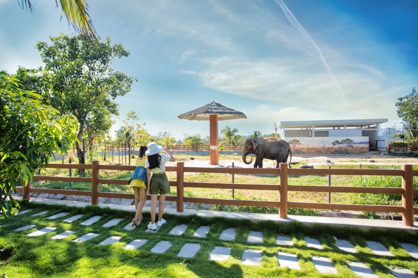 FLC Zoo Safari Quy Nhơn