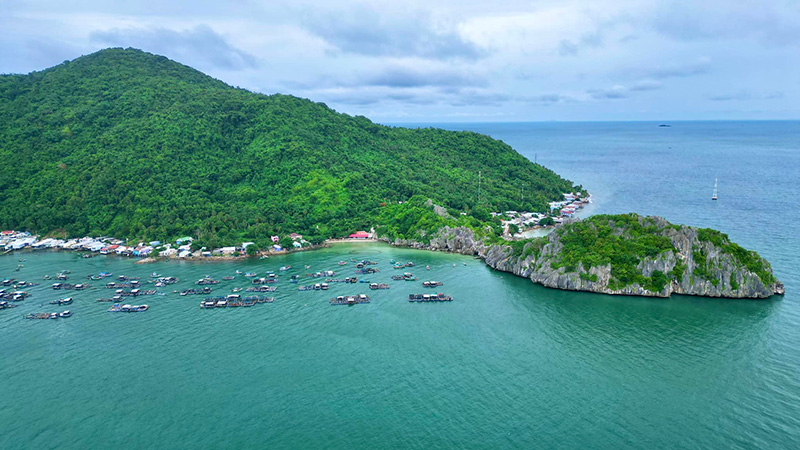Đảo Hòn Nghệ