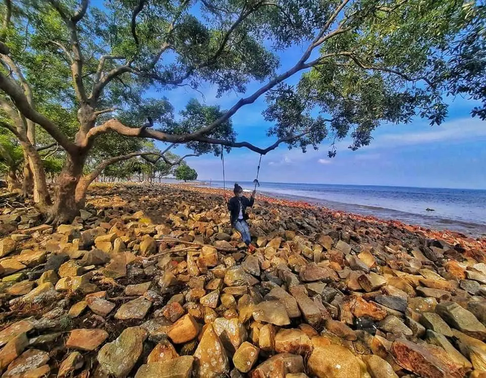 Biển Tân Thành