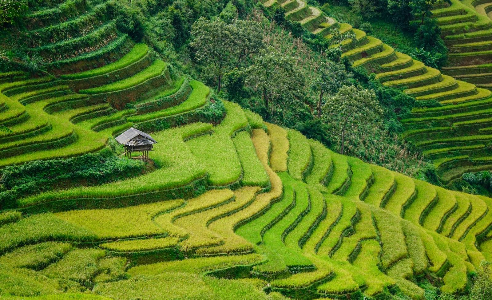 Bản Tà Phìn