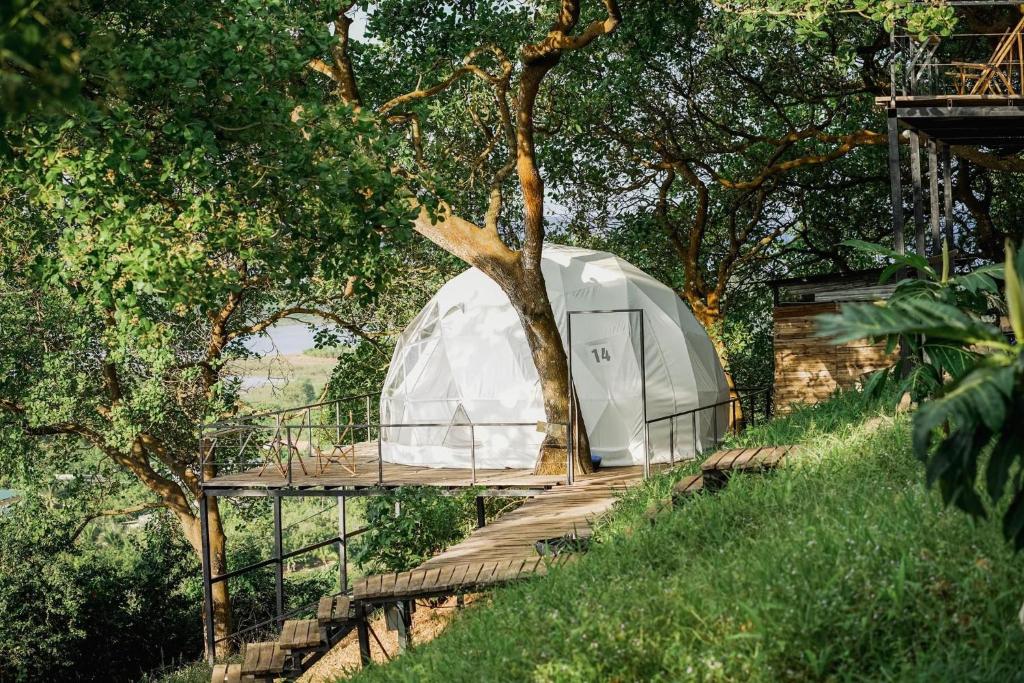 Cách TP.HCM chỉ với 2 giờ lái xe (96km), khu cắm trại Tropical Eglamping tọa lạc ở một vị trí đắt địa trên ngọn đồi cao với rừng điều cổ thụ vài chục năm tuổi