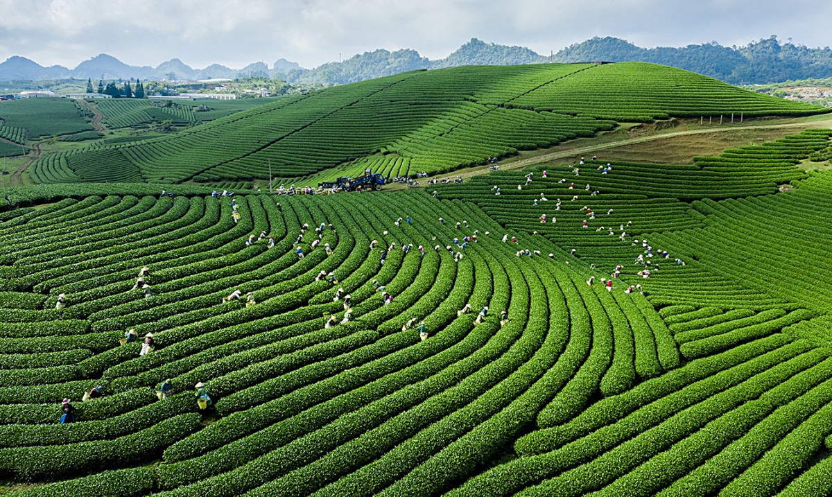 Mộc Châu - Góc nhìn trên cao