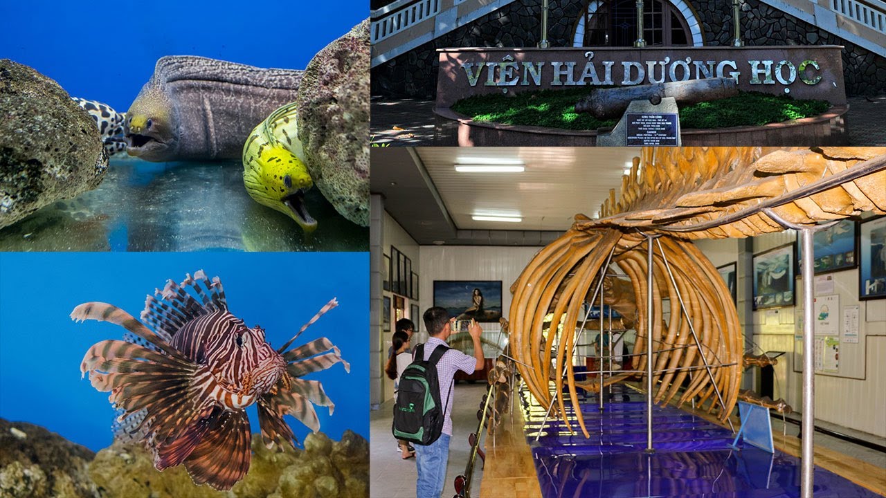 Viện Hải dương học Nha Trang