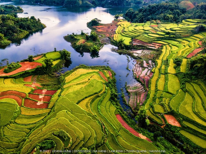 Ruộng Bậc Thang Hồng Thái