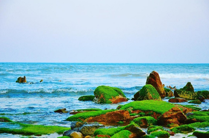 Bãi Biển Hoành Sơn