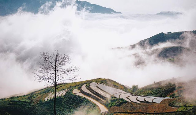 Lên Tà Xùa vừa săn mây, vừa tận hưởng bình yên của núi rừng Tây Bắc