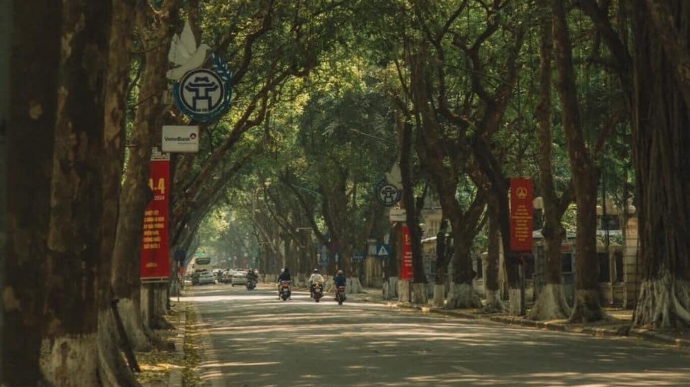 Wandering Through Time: The Charm of Phan Dinh Phung Street