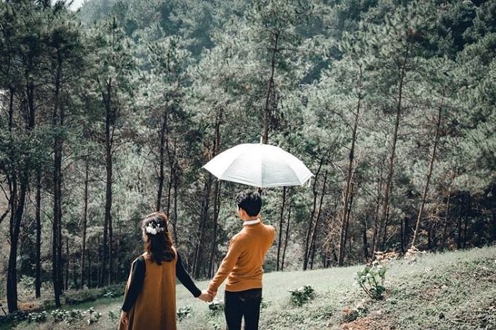 Thien Son Thinh An Gia pine hill