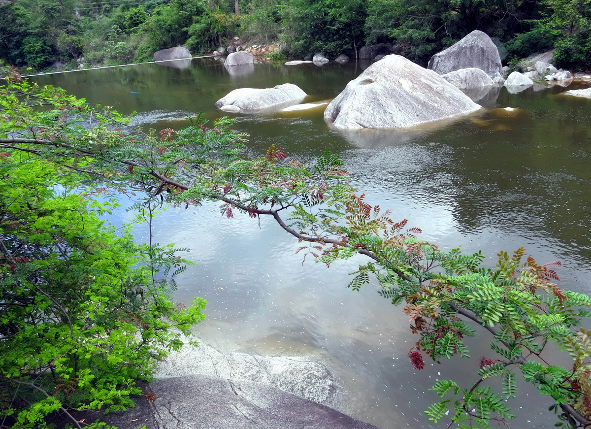 Vườn Quốc Gia Chư Yang Sin